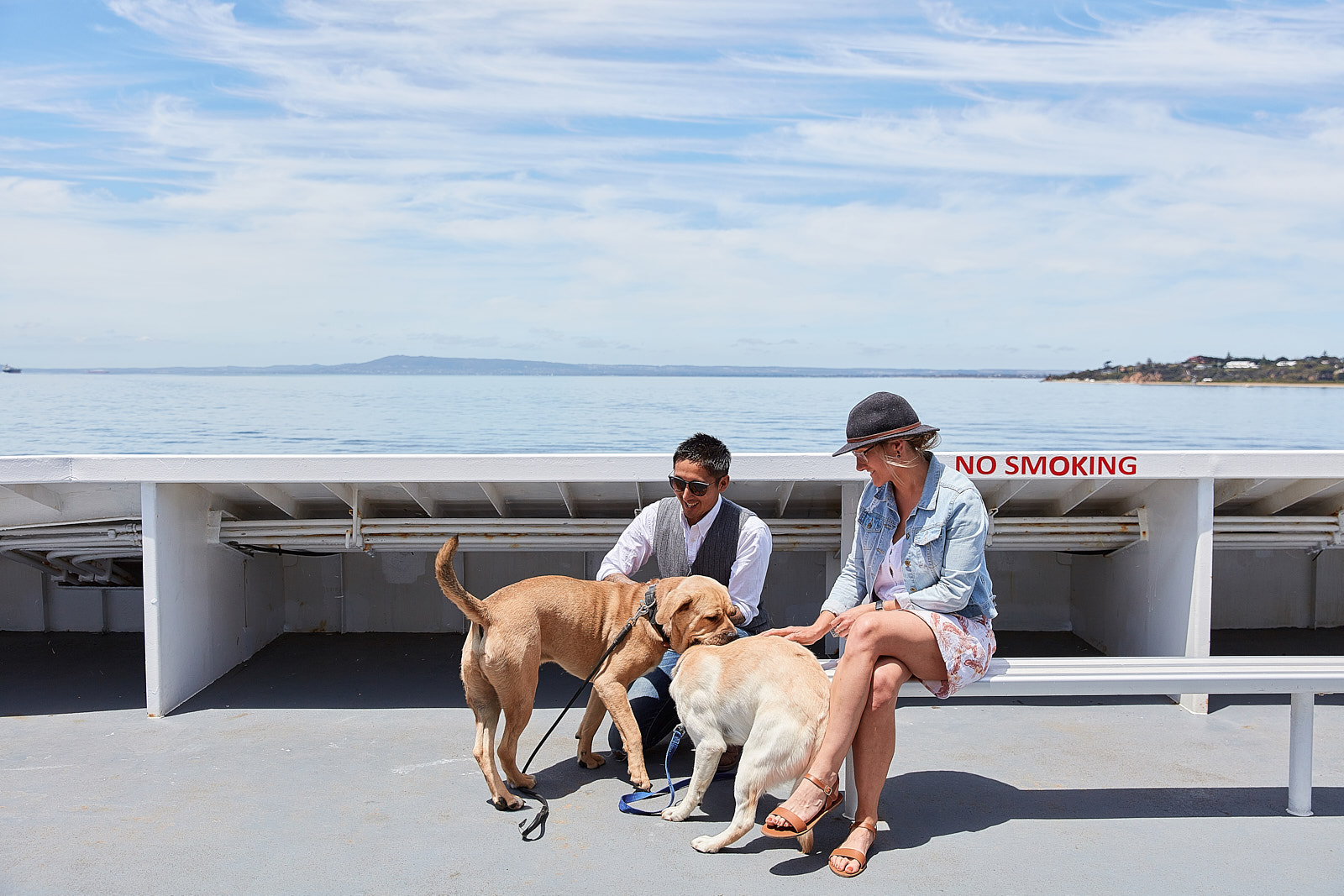 are dogs allowed on ferries