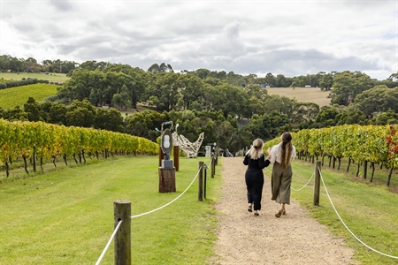 9 Best Winery Tours on the Mornington Peninsula