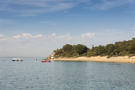 The 13 Best Things to Do in Portsea | Searoad Ferries